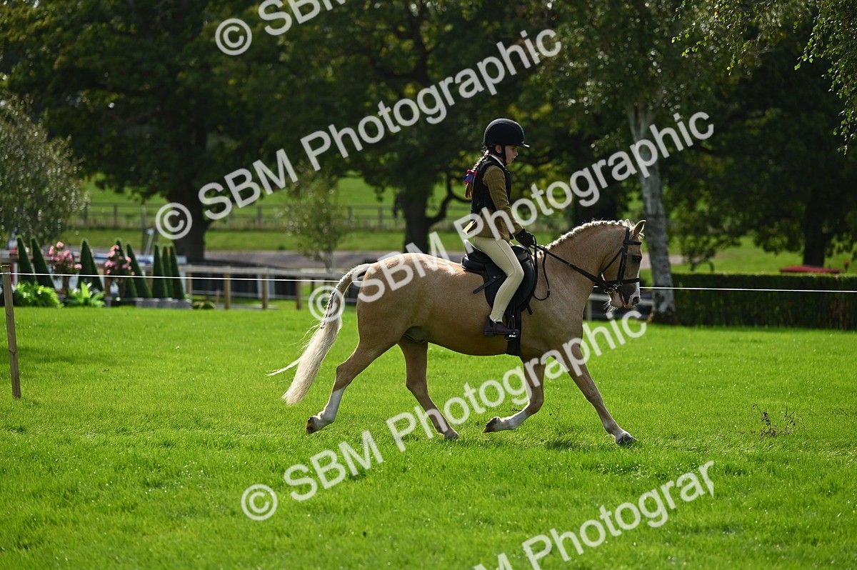 SBM_02628 - S3 - TSR Ridden Pony Showing
