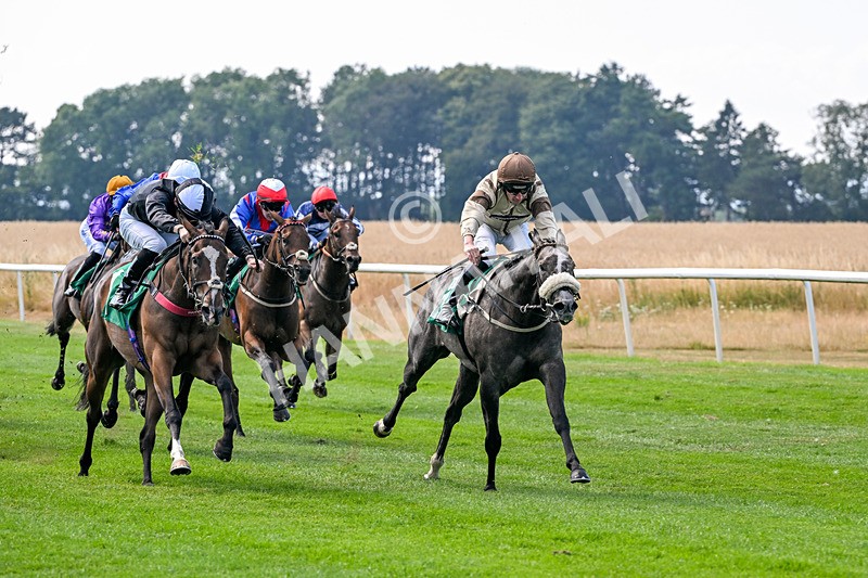 160726-Race 3-Angel Numbers-4445 - Race 3 15.03pm Sell Your Business With Anderson Barrowcliff Handicap