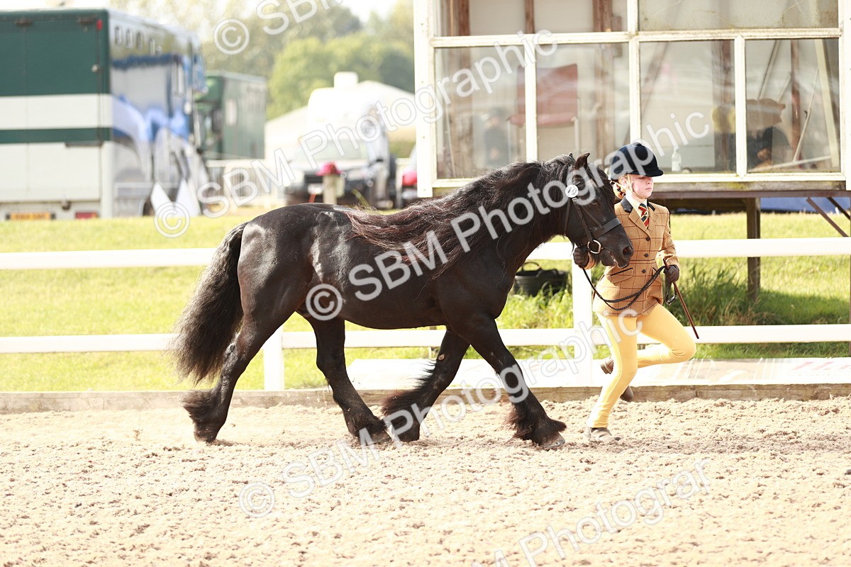 SBM_10527 - Class 204 Young Handler, 11-16 years