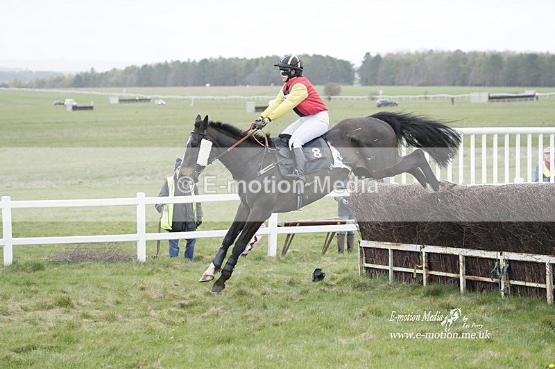 PtP 260323 0952 - New Forest Hounds Point-to-Point Larkhill 26/03/23