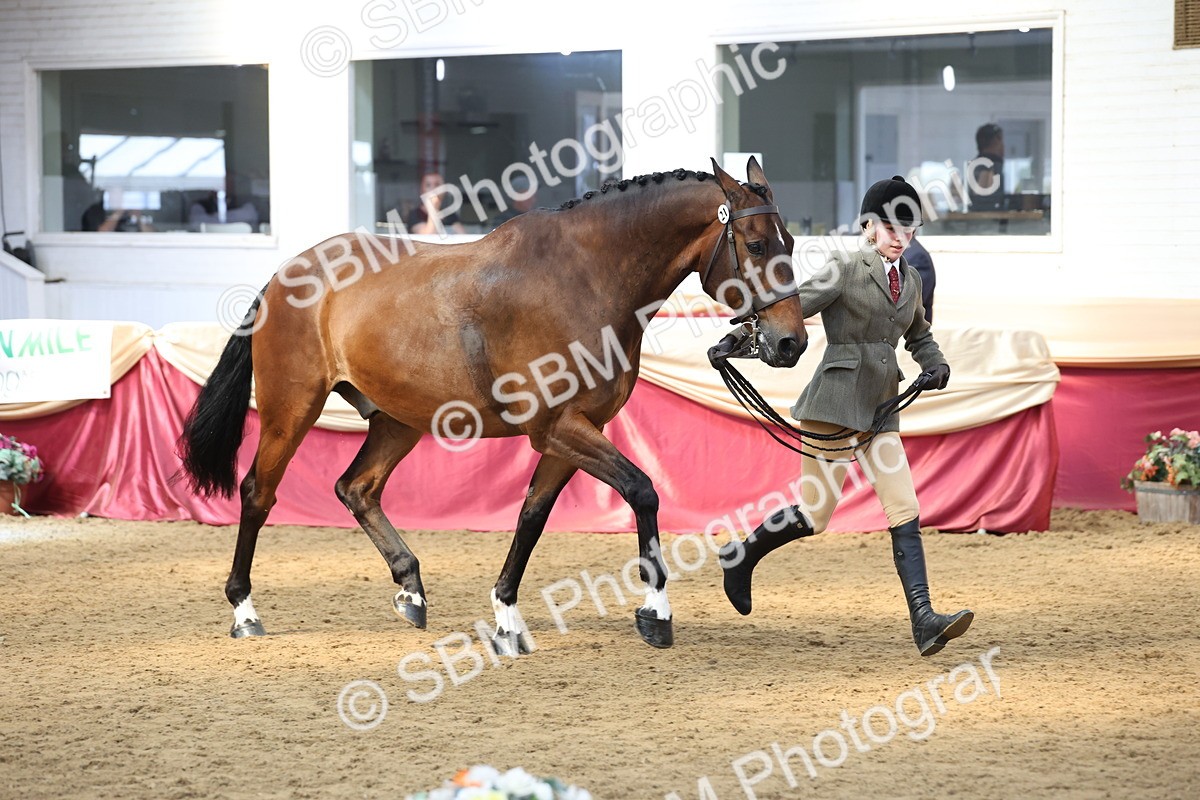 SBM_24144 - Class 905 - Supreme Final - Ridden Veteran