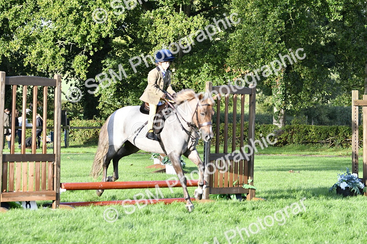 SBM_35390 - S30 - Nursery Stakes Working Hunter Pony