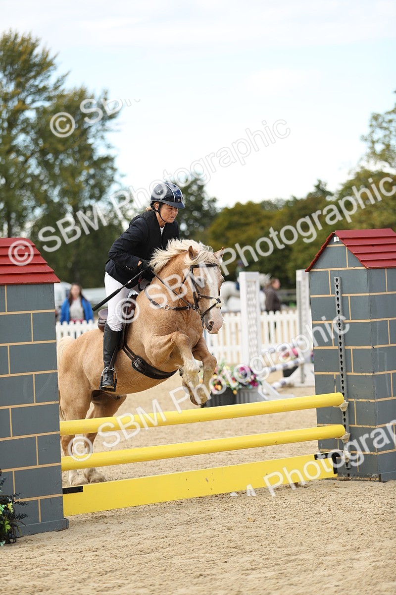 SBM_09985 - J36 - Veteran Rider 70cm