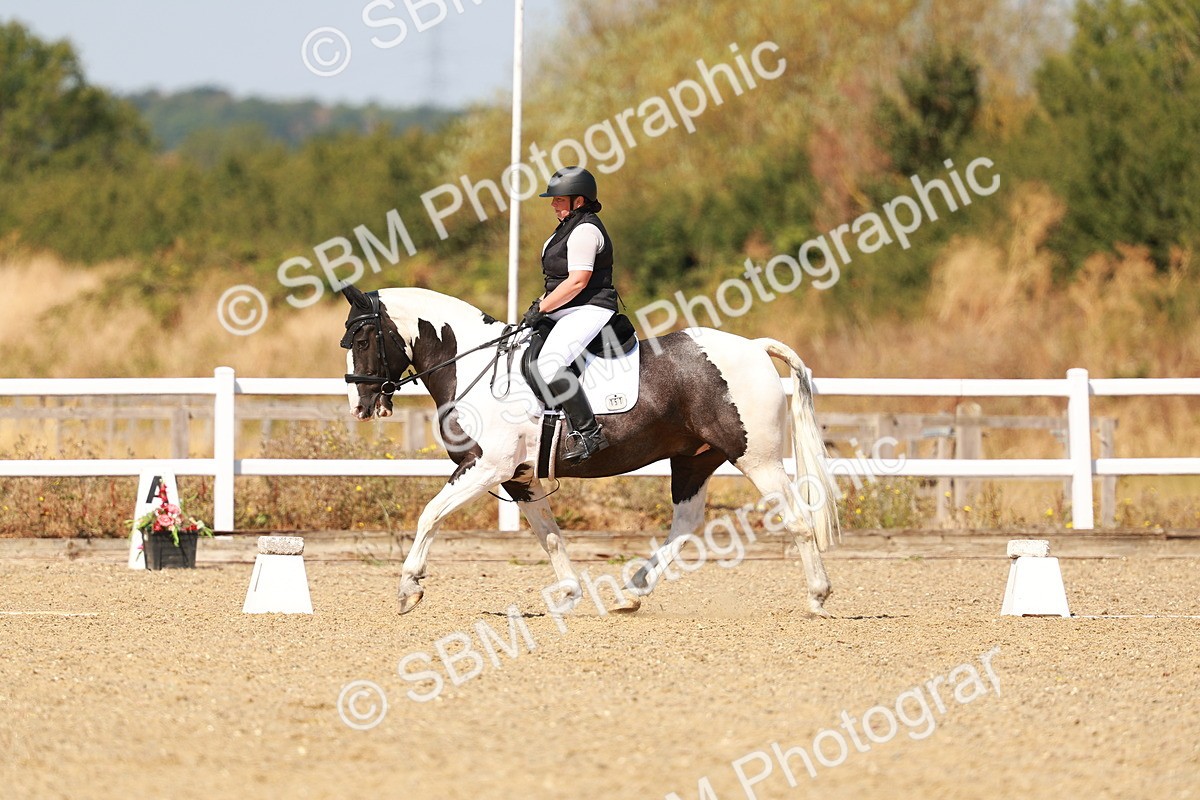 SBM_018278 - Class 9 - N5 Bronze 11.57.13.07