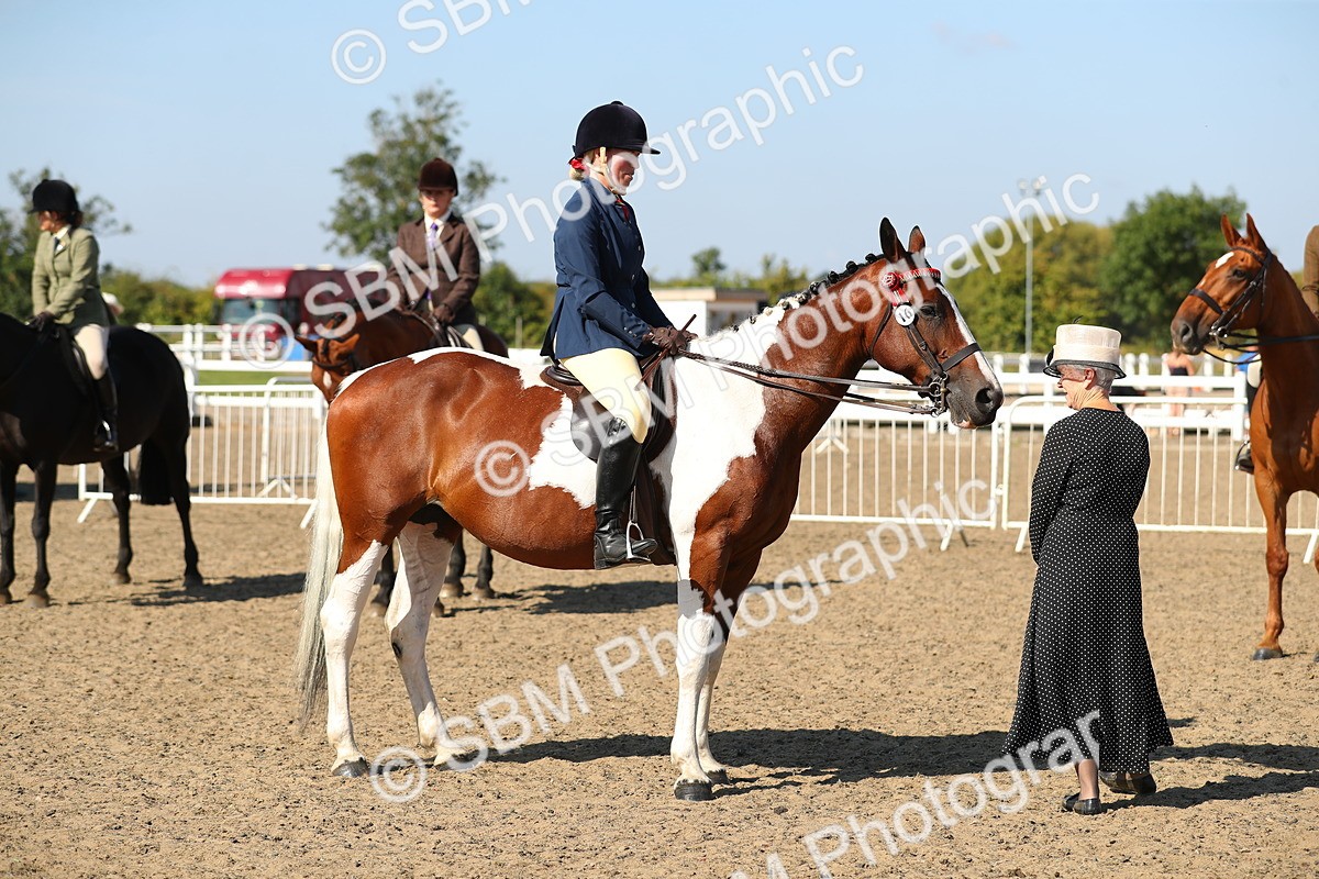 SBM_02283 - Class 43 Ridden Competition Horse/Pony
