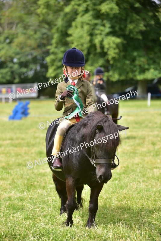 20260614-3728 - Class 15 - Prettiest Mare