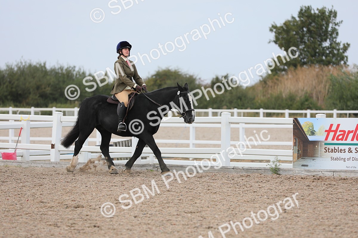 SBM_16863 - Class 314 Family Horse/Pony