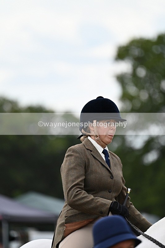 WJ7_5249 - Class 12 Ridden Cob