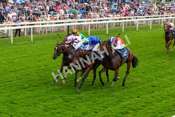 100923-Race 6-Anjo Bonita-1075 - Race 6 4.25pm Hanson Springs 60th Anniversary Handicap at York