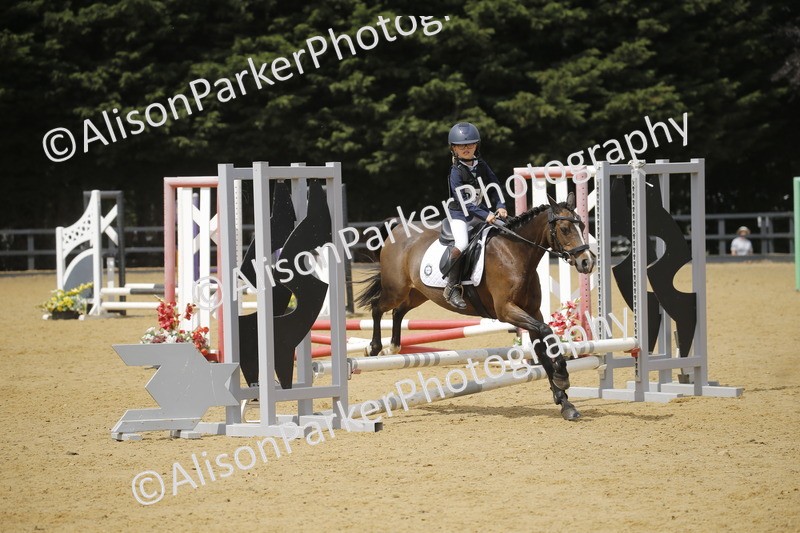 20250622-4116 - 50cm