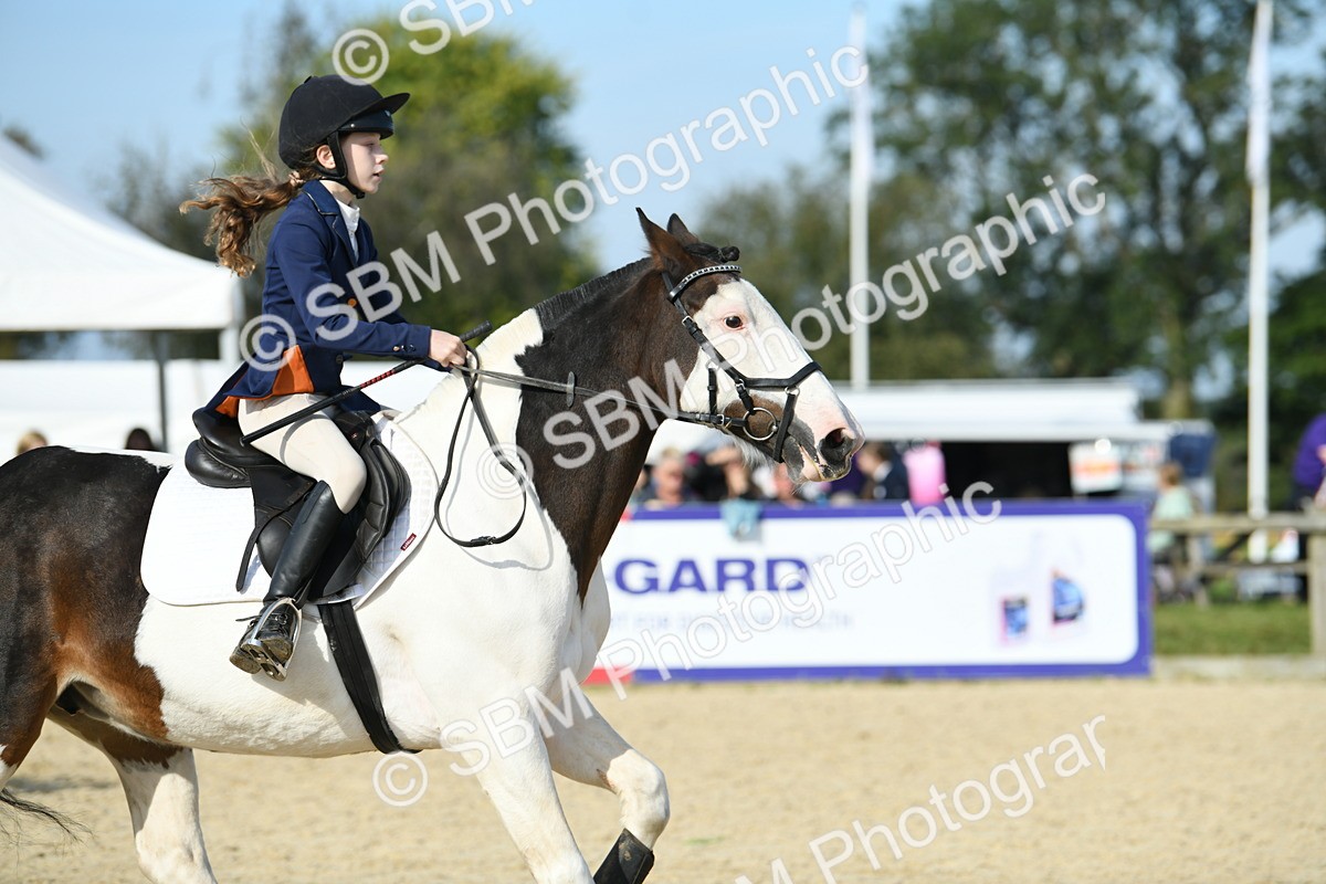 SBM_60699 - j25 - Junior Horse 80cm Championship