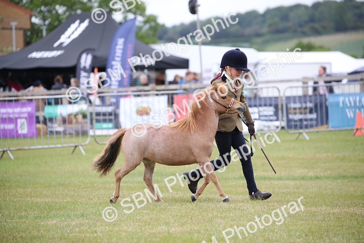 SBM_03513 - Class 23-25 - British Miniature Horse of the Year