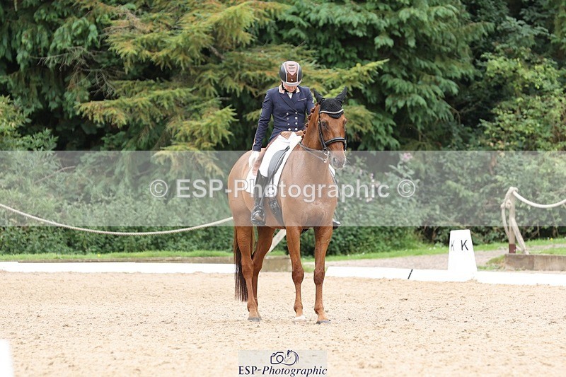 240810-161540-04358 - 219-Alice.Peternell-Insanity