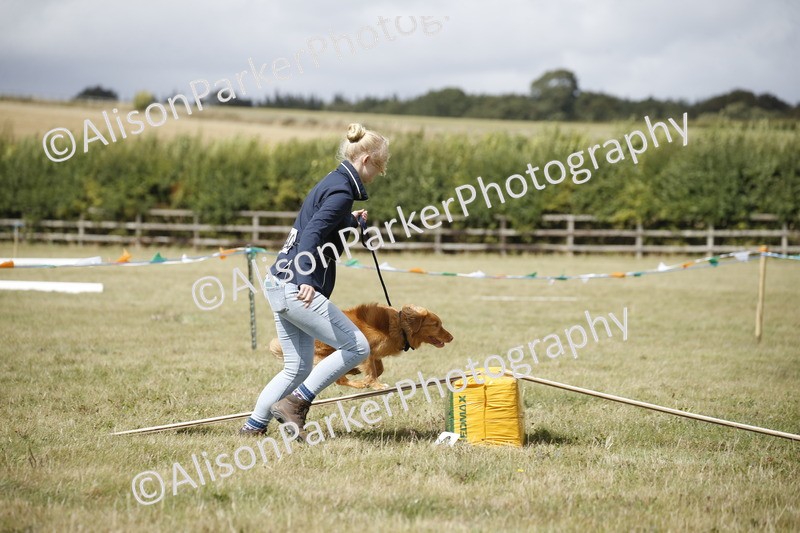 20250831-3886 - Dog Show