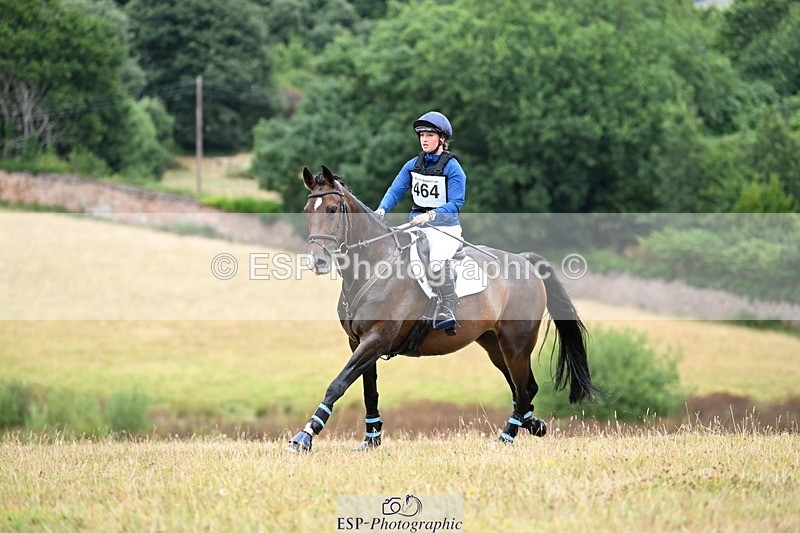 250803A-112053-11125 - K-464-Tamsin.Howard-HALAVELI