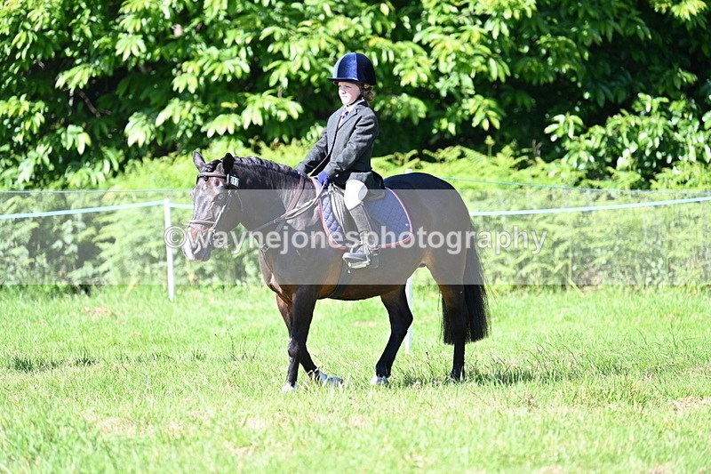 WJ7_0347 - Class 8 First Rally Pony