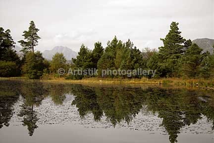 Llyn Pandora reflections - Sceniks.com - Snowdonia landscape photographs by Dave O'Shea