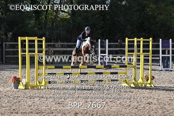 BPP_7667 - CLASS 10 Pony British Novice / 0.80m Open