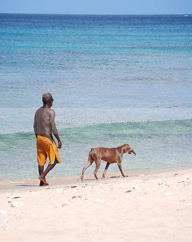  - Man's Best Friend