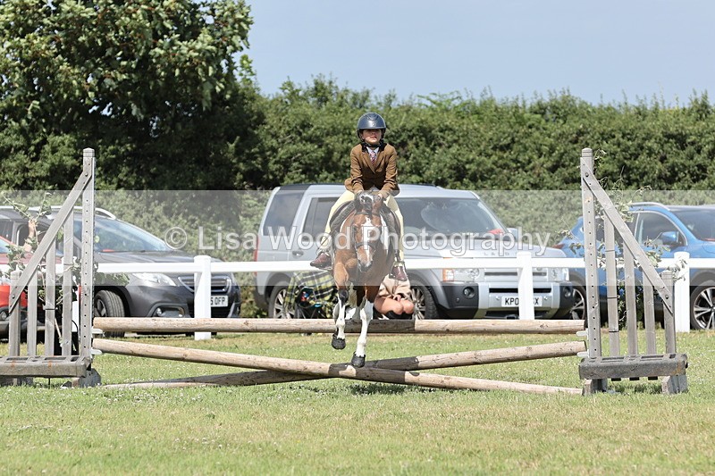 JPP_2147 - Class 19: Working Hunter 60cm