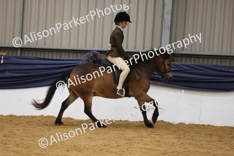 20260913-0619 - Class 126 - Novice Ridden