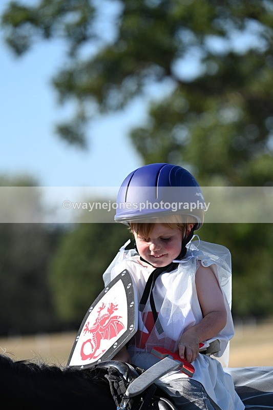 WJ7_2691 - Class 45 Fancy Dress (My Fav)