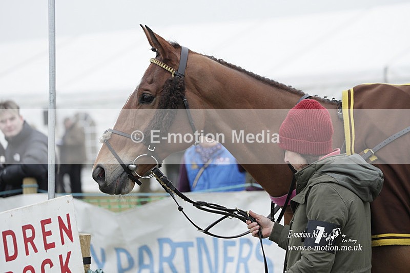 PtP 040323 625 - Duke of Beauforts Hunt Point-to-Point Didmarton 04/03/23