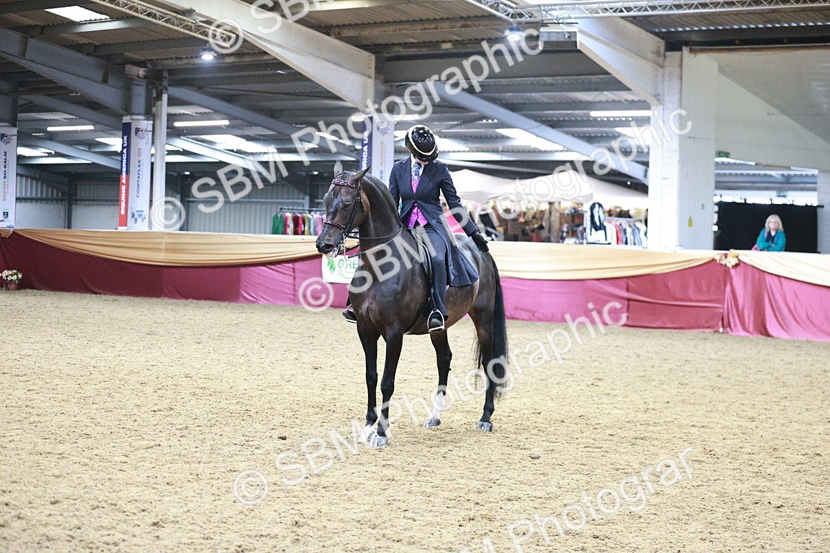 SBM_09082 - Class 12R - Regional Ridden Pre-Vet
