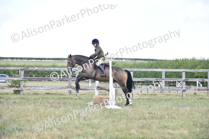 20250831-3968 - Class 12 - Working Hunter Pony 14.2hh and Under