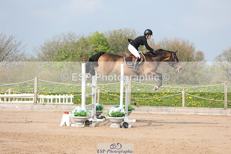 250424-102220-02974 - Cls 33 Young Horse 7yr old