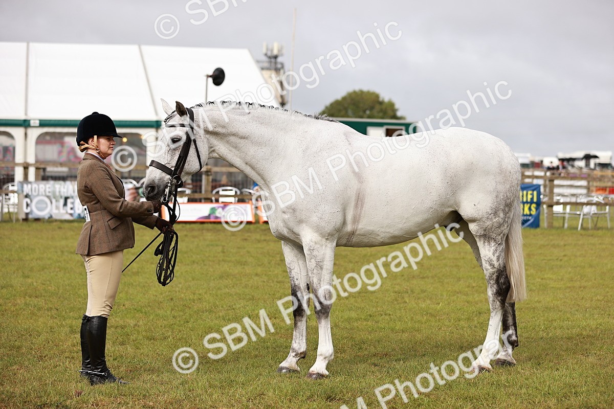 SBM_10877 - Class 81-84 - RIHS Ridden hunters Inc Ladies Hunter