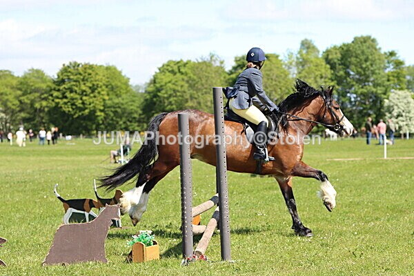 IMG_3483 - Working Hunter