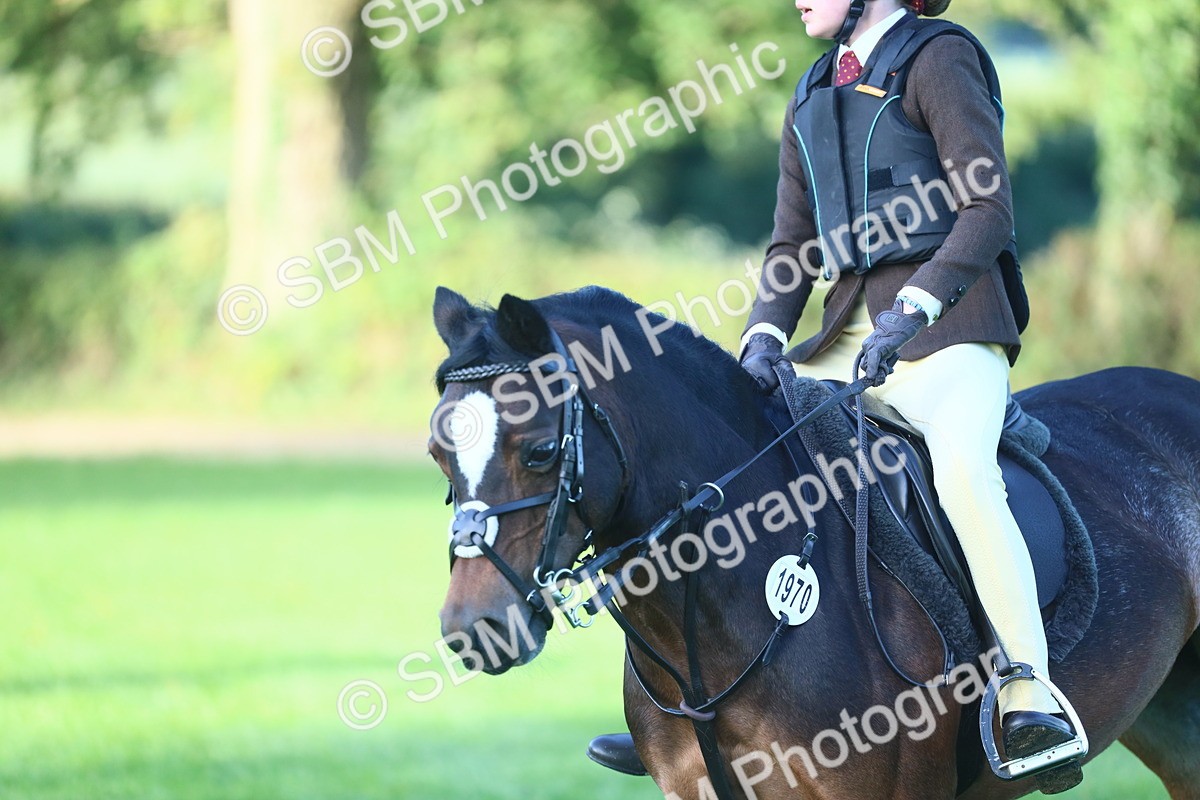 SBM_37298 - S29 - Novice & Newcomers Working Hunter Pony