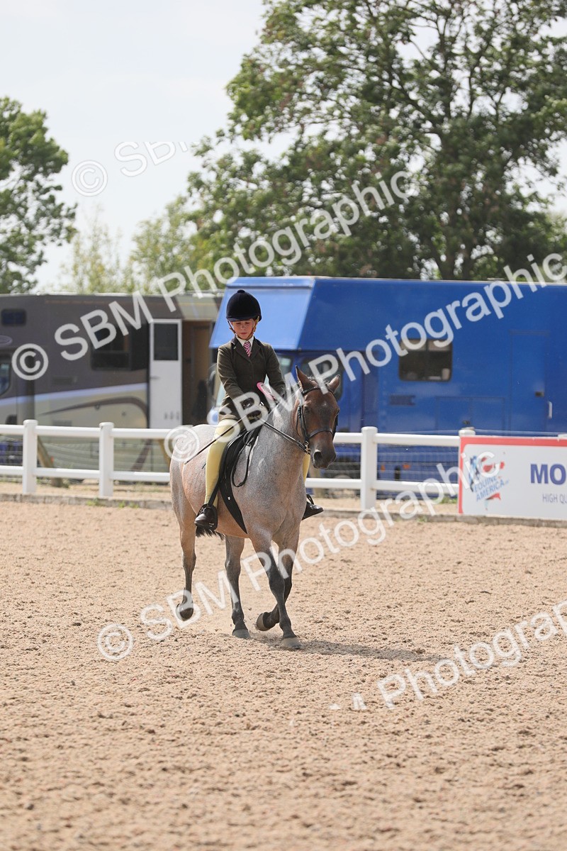 SBM_15637 - Class 311 Ridden Show Pony/ Show Hunter Pony