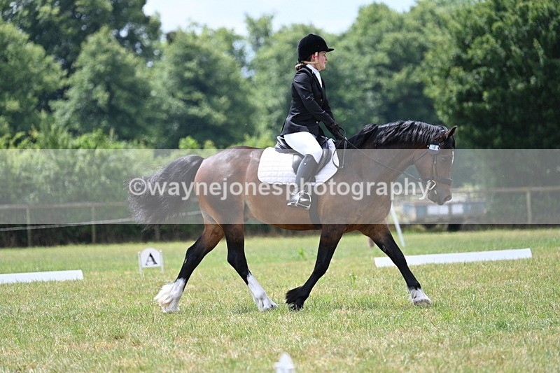 WJ7_5692 - Time 11:52 to 12:10