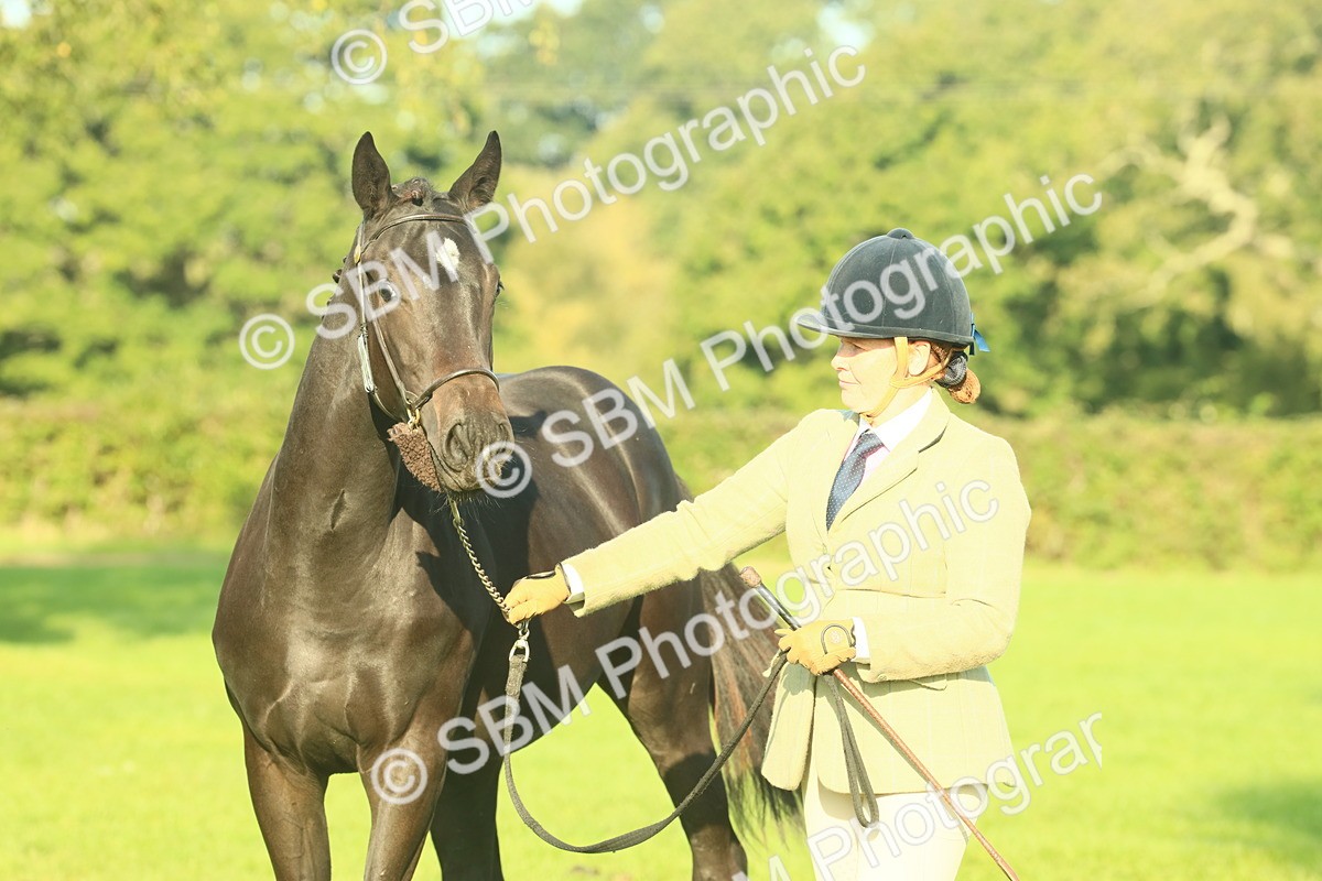 SBM_58616 - S37 - Starters In Hand Showing