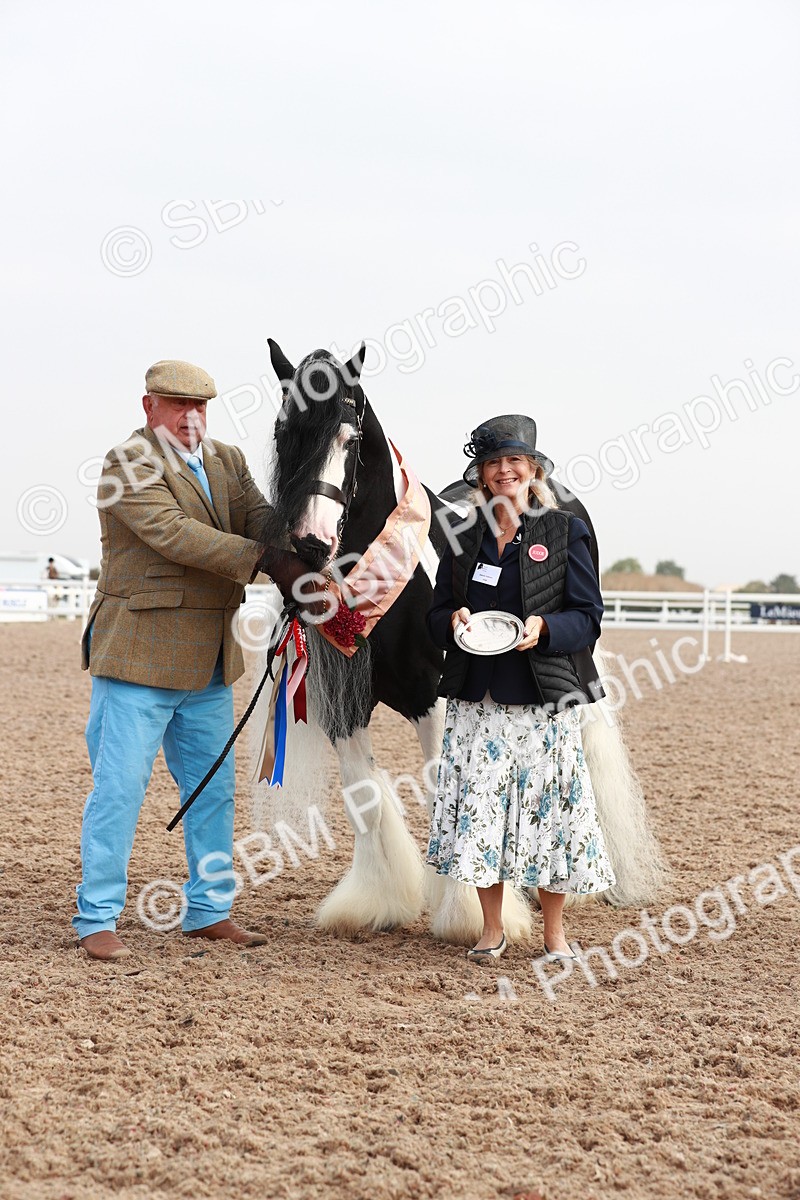 SBM_09564 - Class 201 Best Turned Out IH