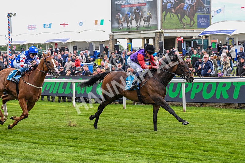 150526-Race 3-Warrant Holder-7554 - Race 3 2.55pm Support Macmillan Charity Raceday On 13 June Handicap