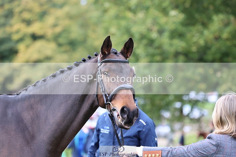 251026A-105148-23330 - F-428-Jemima.Wilson