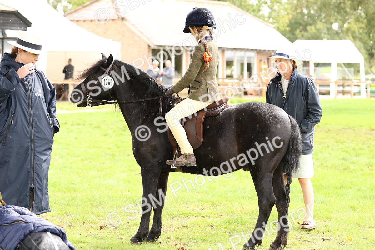 SBM_45103 - S27 - Young Veteran Ridden