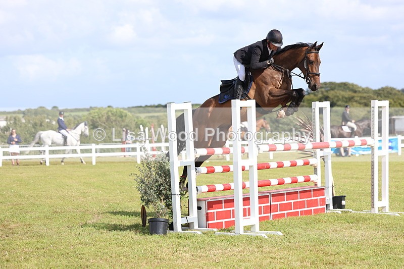 3E7A3548 - Class B: Showjumping Accumulator