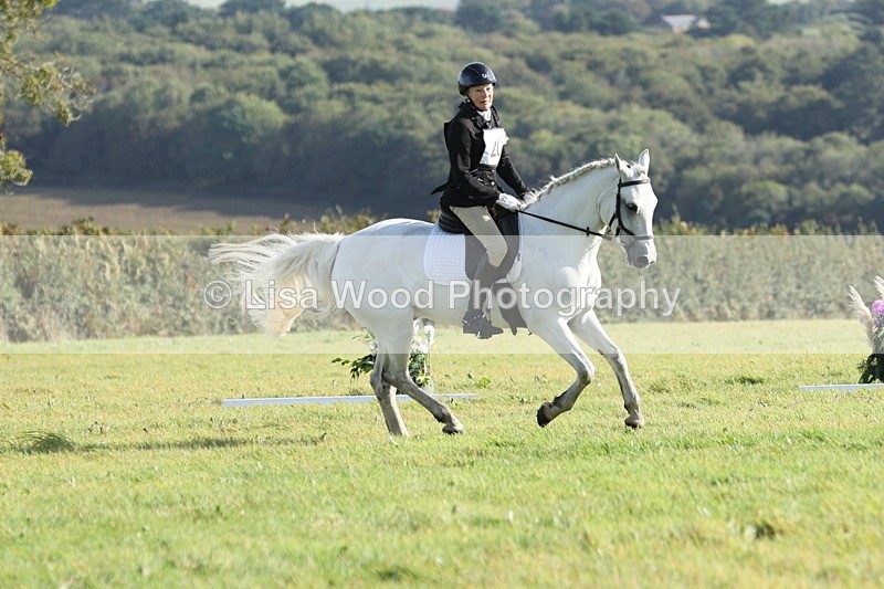 JPP_7909 - Class 2A: Trekenning Open: Dressage