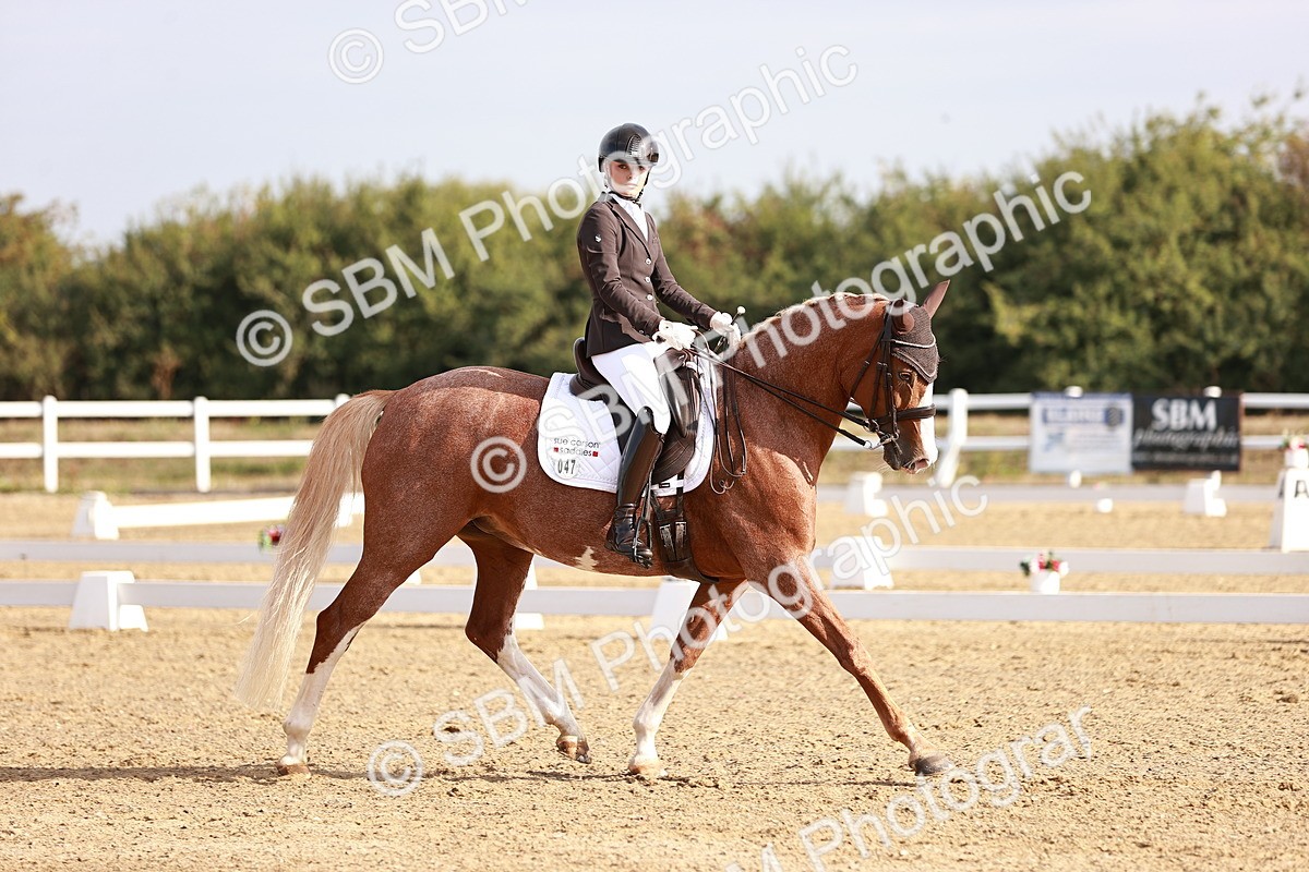 SBM_016850 - Class 10 - Medium 6