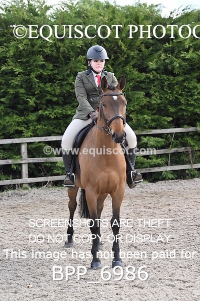 BPP_6986 - RING 1  (RIDDEN HORSES / IN HAND / VETERAN ETC)