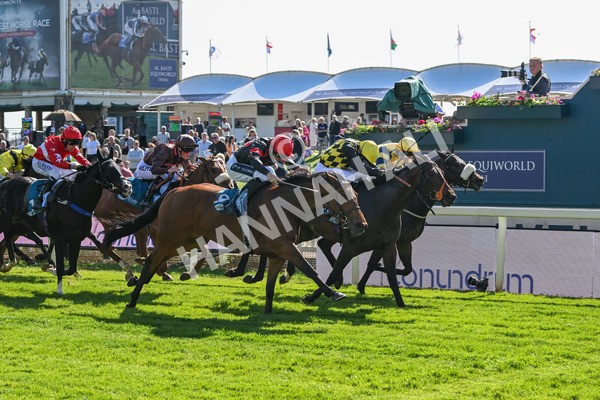140525-Race 5-Rare Change-2738 - Race 5 4.18pm Conundrum HR Consulting Handicap