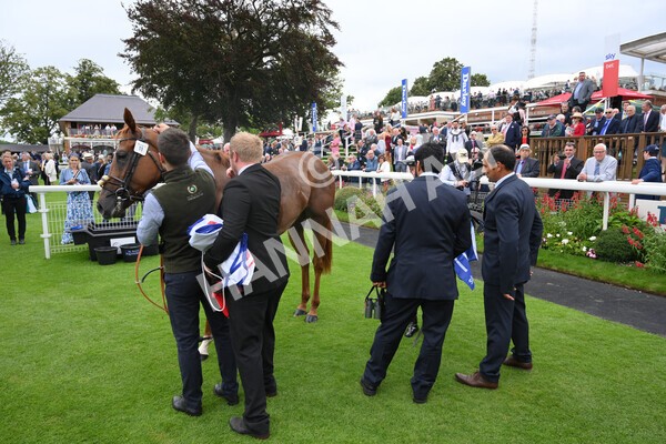 yr19082021r1-54 - Race 1 1.50pm Sky Bet Lowther Stakes