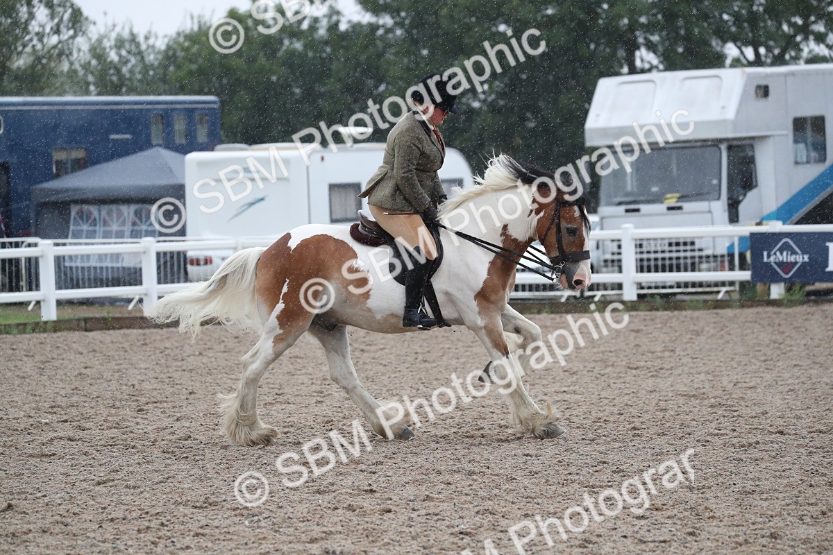 SBM_20429 - Class 601 - 2025 Area - Ridden Diamond