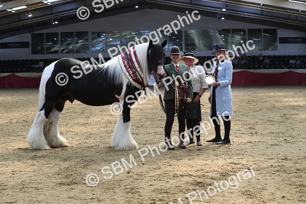 SBM_06581 - Regional IH Champ