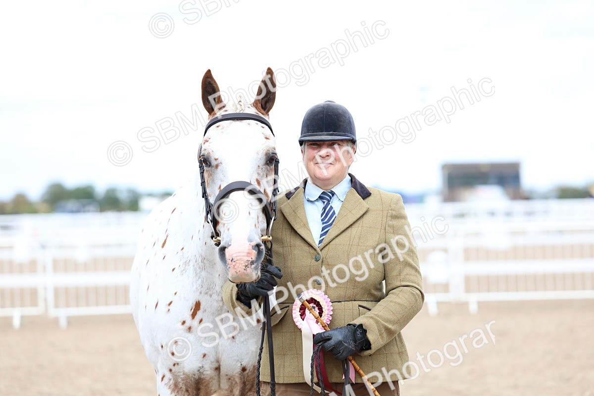 SBM_04521 - Class 26 - IH Foreign Breeds - Part Bred