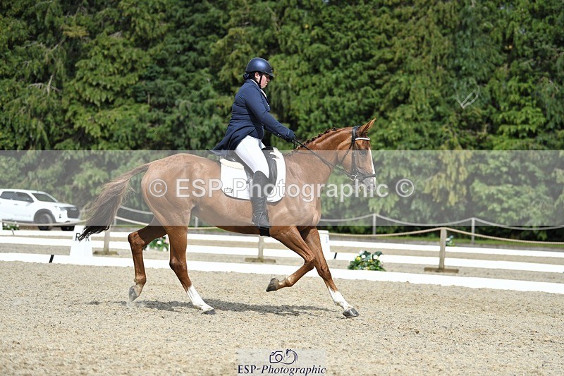 230812-154233-05181 - Cls 10 FEI Inter I Silver